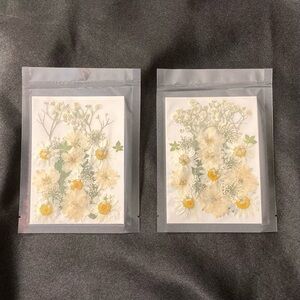 Pressed Flowers Bulk White Dried Flowers Two Pack For Crafting